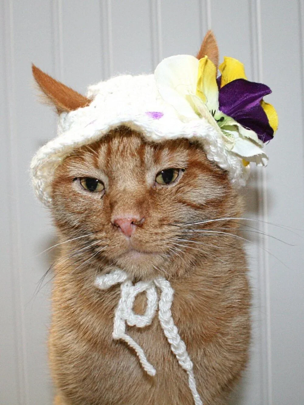 HAND CRAFTED Crochet White Pansy Bonnet Cat Hat Costume Photo Prop